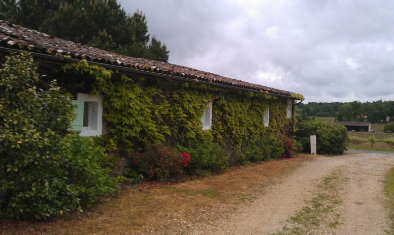 Domaine viticole, Illats, Château Archambeau